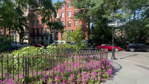 Blooming Abe Lebewohl Triangle in Midsummer, East Village in New York City Stock Footage 346637885