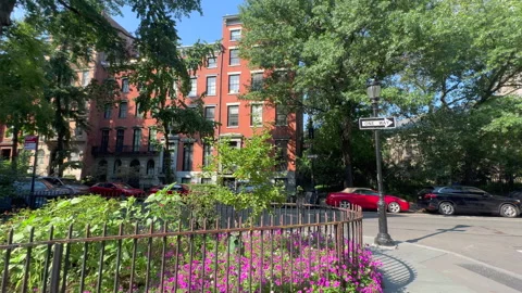 Blooming Abe Lebewohl Triangle in Midsummer, East Village in New York City Stock Footage 346638931