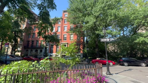 Blooming Abe Lebewohl Triangle in Midsummer, East Village in New York City Stock Footage 346639112