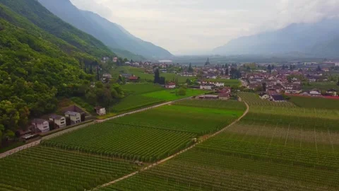 Blooming apple fields and village of Gargazzone framed by forested Alto Adige Video stock 309567202