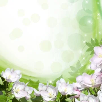 Blooming apple Ilustración de archivo