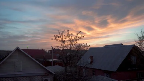 Blooming apple tree on a background of pink sunset.silhouette of a tree against  库存影片 122641444