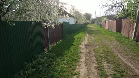 Blooming apple tree with white flowers at rain in spring Stock Footage 119905094