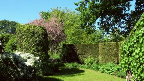 Blooming backyard in Holland. Stock Footage 311982655