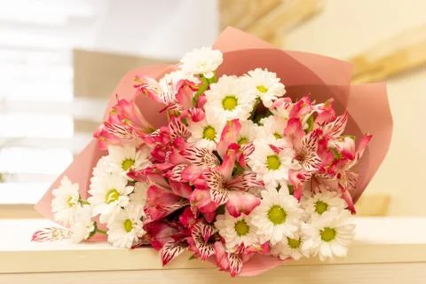 Blooming beautiful pink white flowers isolated close up. Romantic and Stock Photos