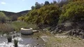 Blooming bushes at Santa Luzia River Wild Water Beach - Mértola 4k or 4k+ Resolution