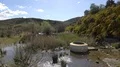 Blooming bushes at Santa Luzia River Wild Water Beach - Mértola 4k or 4k+ Resolution
