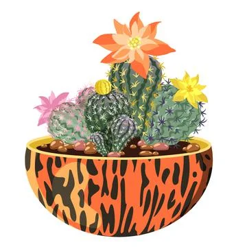 Blooming cacti in a pot. Vector image. Stock Illustration