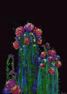 Blooming cactus on black background Иллюстрация