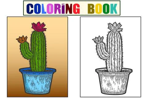 Blooming cactus in a pot. Sketch scratch board, home interior. Set example and Stock Illustration