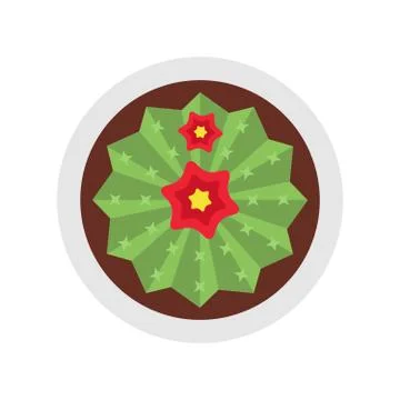 Blooming cactus with two flowers flat isolated Stock Illustration
