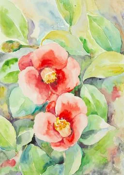Blooming camellia branch Stock Illustration