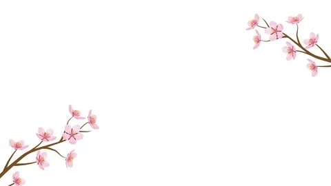 Blooming Cherry blossom motion graphics Stock Footage 100742462