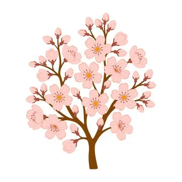 Blooming cherry blossom tree with pink sakura flowers. Hand drawn flat styl.. Stock Illustration
