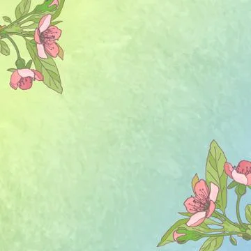 Blooming cherry close-up. Spring background. Nature blooming background. Vect Ilustración de archivo