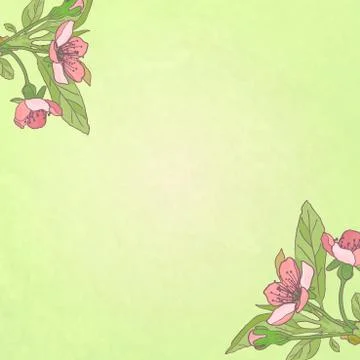 Blooming cherry close-up. Spring background. Nature blooming background. Vect Illustrazione stock