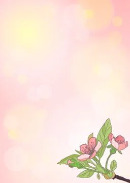 Blooming cherry close-up. Spring background. Nature blooming background. Vect Illustrazione stock