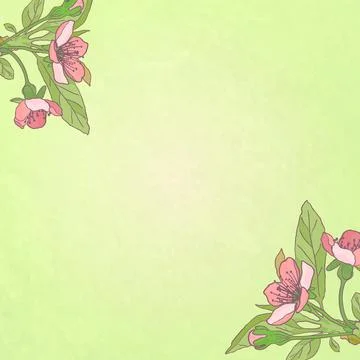 Blooming cherry close-up. Spring background. Nature blooming background. Illustration