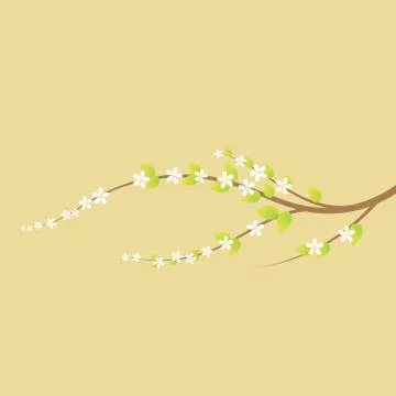 Blooming cherry tree branch in spring. Stock Illustration