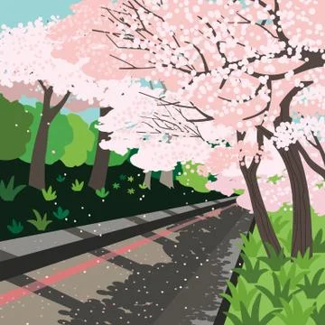 Blooming cherry trees garden path vector poster Stock Illustration