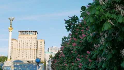Blooming chestnut trees on Independence Square and view on Independence Monument Video stock 176399035