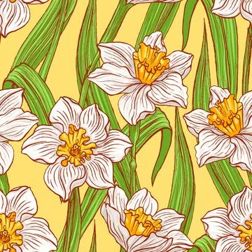 Blooming daffodils Stock Illustration