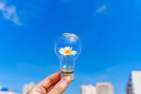 Blooming Daisy in a Light Bulb Held against Blue Sky 스톡 사진