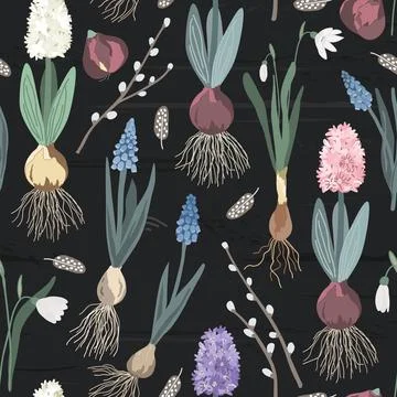 Blooming first spring flowers lie without a pot on a dark wooden background 스톡 일러스트