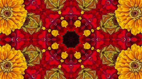 Blooming flower background Stock Illustration