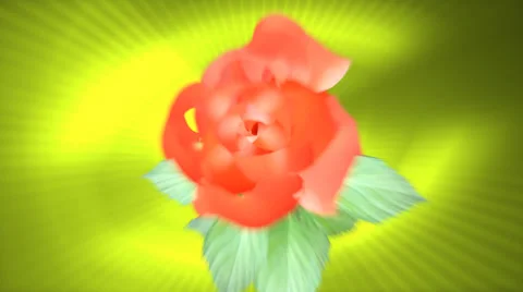 Blooming Flower Stock Footage 53566986