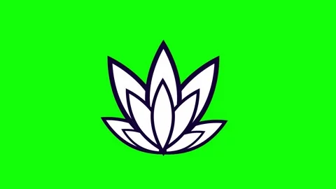 Blooming flower on green screen 2D motion graphics animation (Chroma key) Stock Footage 311788688