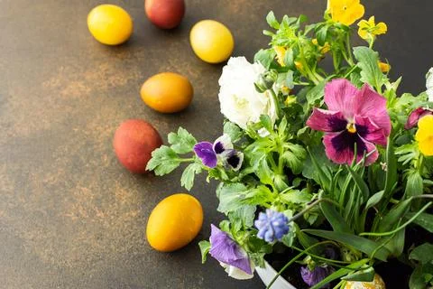 Blooming flowers and Easter eggs Stock Photos