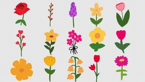 Blooming Flowers Animation Pack | Hand Drawn Floral Growth Motion | Transparent Stock Footage 330977787