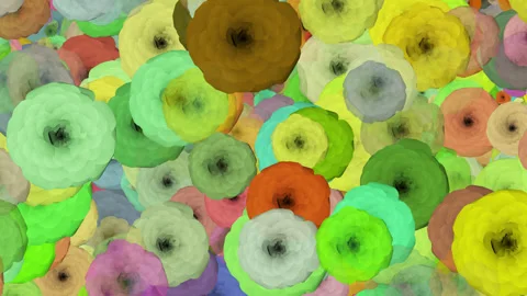 Blooming Flowers Background Stock Footage 243497436