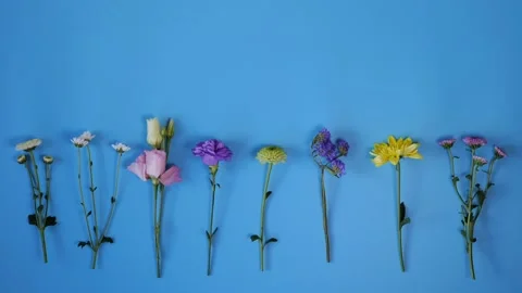 Blooming flowers festive background Stock Footage 198143831