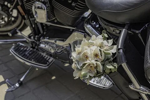 Blooming Freedom Foto stock