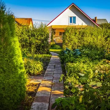 A blooming garden in the backyard Stock Photos
