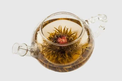 Blooming green tea Stock Photos