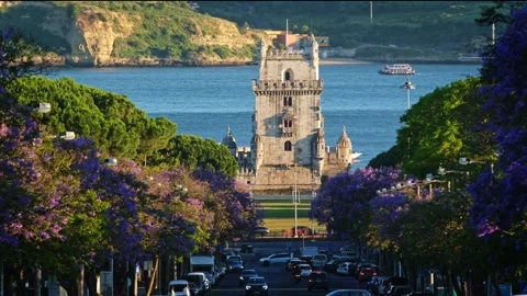 Blooming jacaranda trees by Belem Tower in evening sunlight, Lisbon, Portugal Stock Footage 346658253