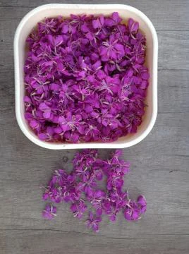 Blooming lilac willow herb Ivan tea on a wooden surface as background Stock Photos