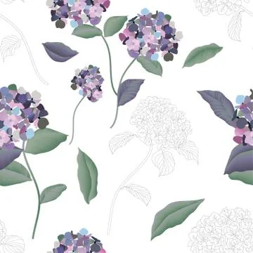 Blooming luxurious hydrangea seamless pattern. Vector illustration with garde Illustrazione stock