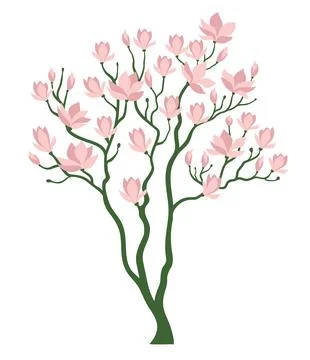 Blooming magnolia tree. Spring tree with pink flowers. 库存插图
