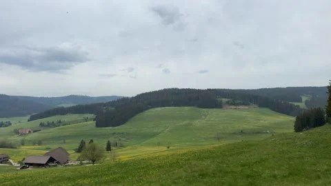 Blooming meadow with yellow wildflowers in rolling countryside landscape Stock Footage 337070889