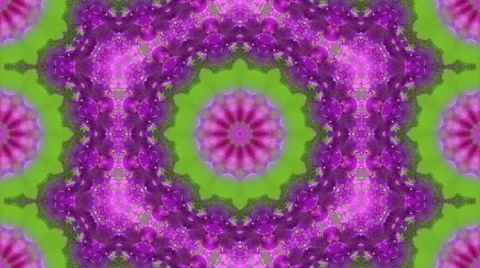 Blooming mosaic pattern with decorative floral motif in green and violet colors Vidéo 58253908