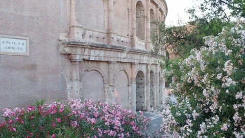 Blooming Oleander Flowers Framing the Ancient Colosseum in Rome Vidéo 339861814