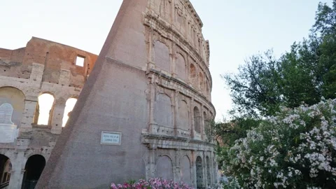 Blooming Oleander Flowers Framing the Ancient Colosseum in Rome Stock-Footage 339861900