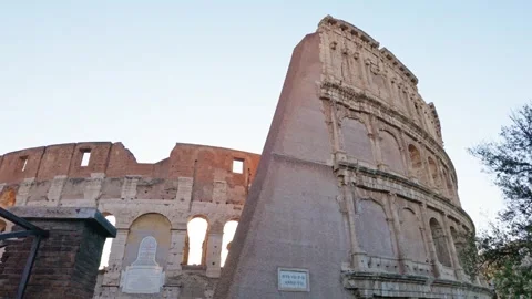 Blooming Oleander Flowers Framing the Ancient Colosseum in Rome Stockbeeldmateriaal 339861942