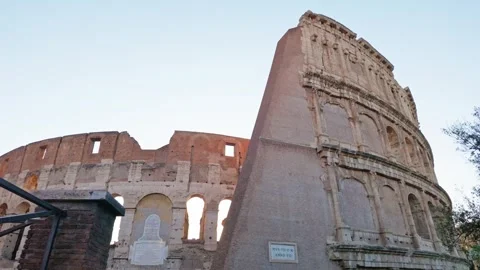 Blooming Oleander Flowers Framing the Ancient Colosseum in Rome Stock-Footage 339862024