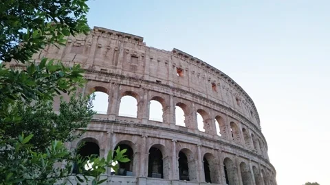 Blooming Oleander Flowers Framing the Ancient Colosseum in Rome Video stock 339862238