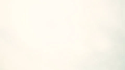 Blooming orchard in the rain Vídeo Stock 62800867